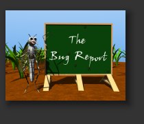 The Bug Report